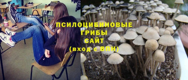 спайс Алексин